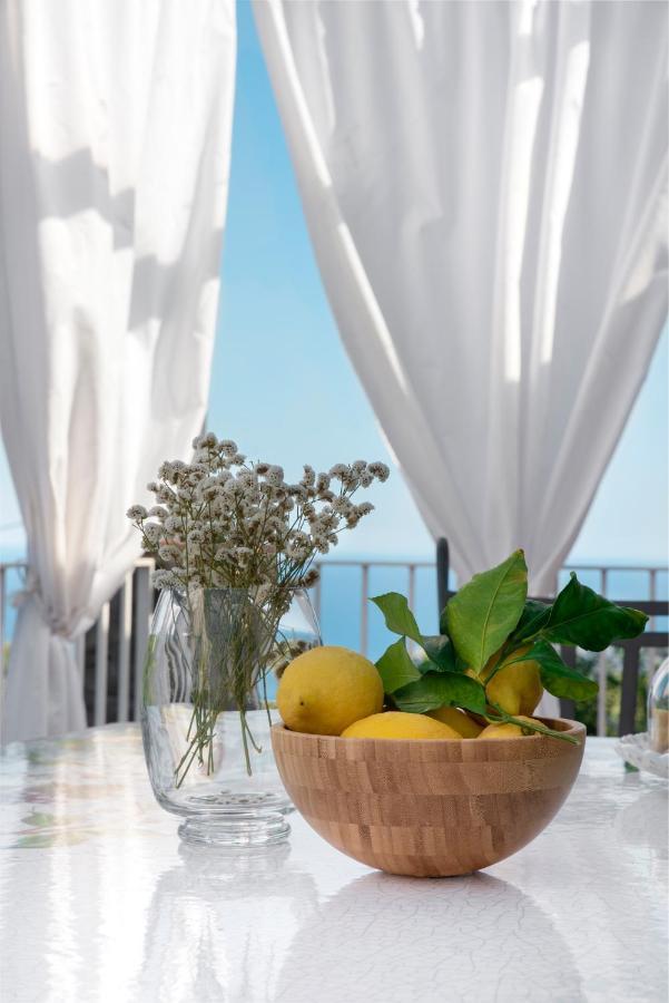 Villa Anna - De Vivo Realty ピアーノ・ディ・ソッレント エクステリア 写真